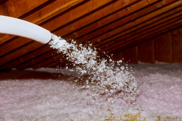 Best Eco-Friendly Insulation in Seabrook, MD