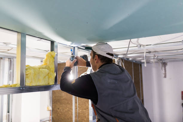 Best Specialized Insulation Services in Seabrook, MD