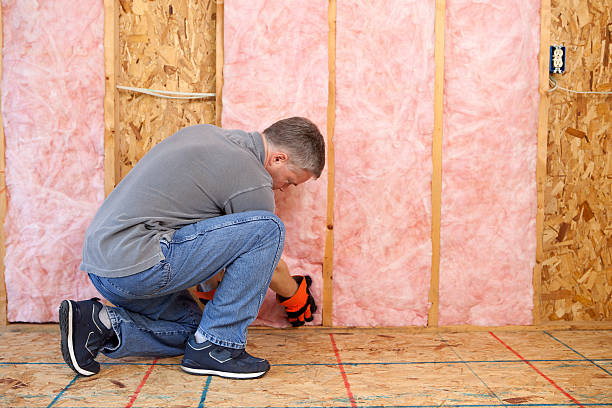 Best Commercial Insulation in Seabrook, MD